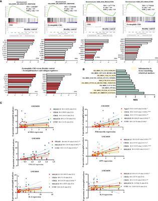 Eosinophil-Derived Osteopontin Induces the Expression of Pro-Inflammatory Mediators and Stimulates Extracellular Matrix Production in Nasal Fibroblasts: The Role of Osteopontin in Eosinophilic Chronic Rhinosinusitis